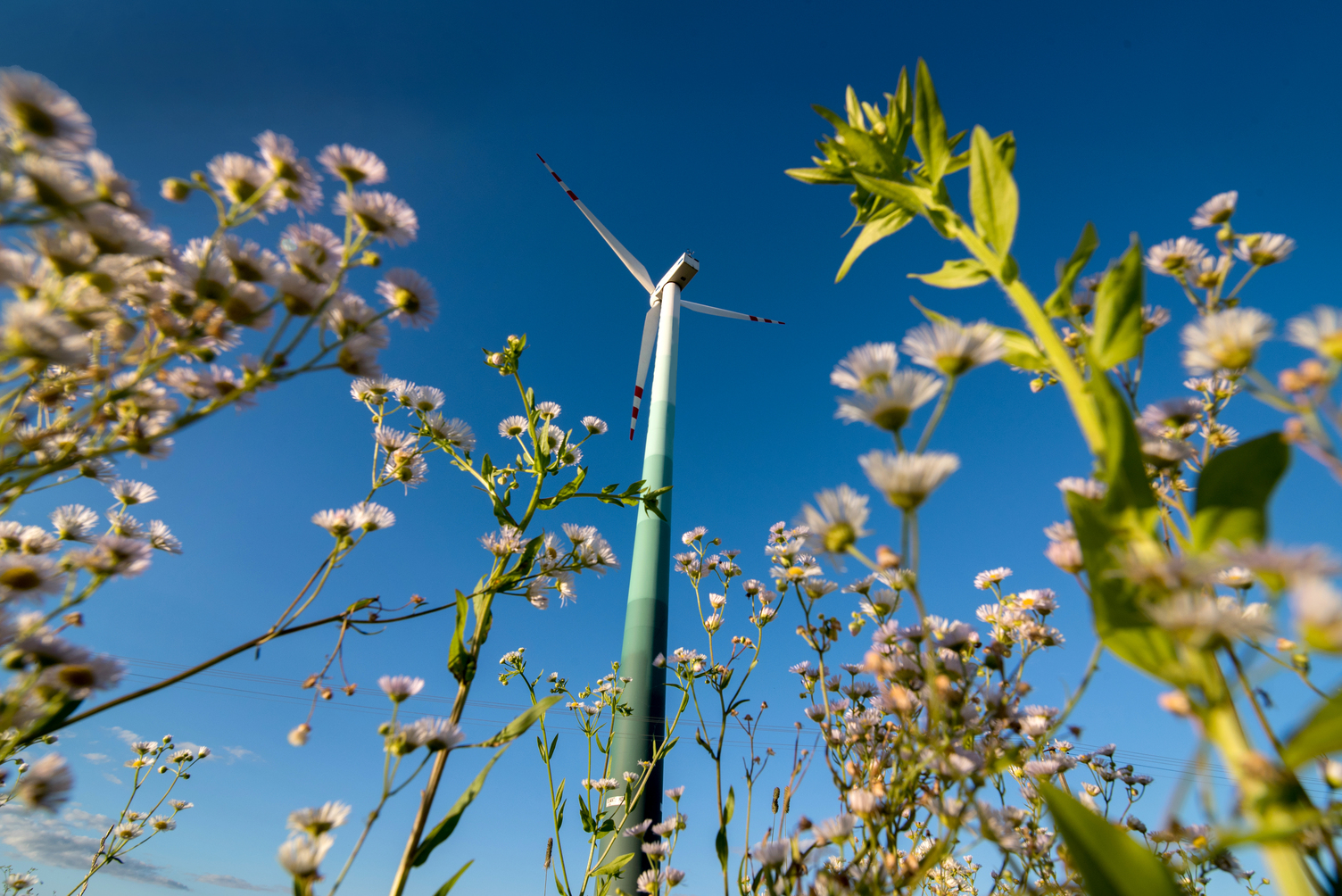 better-for-environment