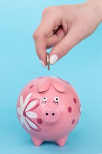 budget-friendly-solar-panel