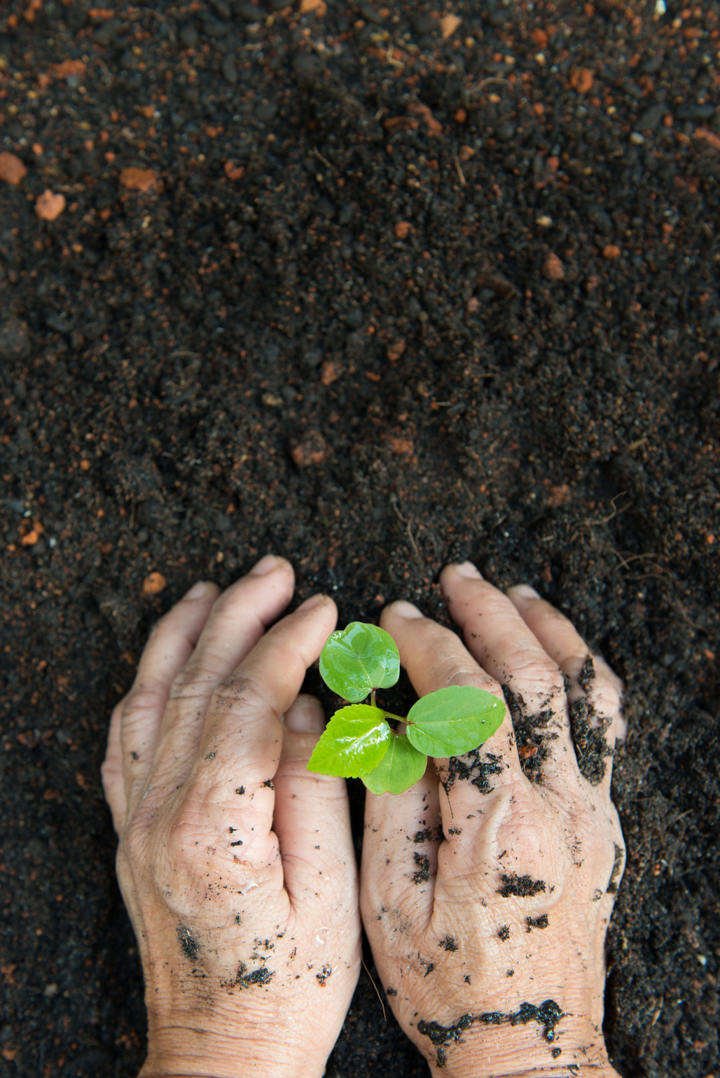 environment-benefits