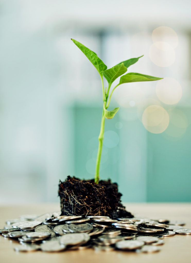 investment-and-development