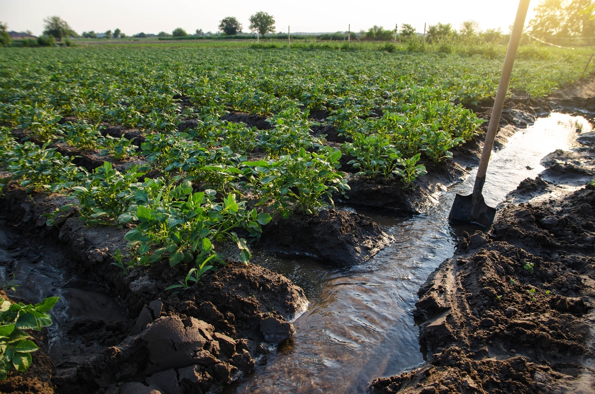 plantation-watering-management