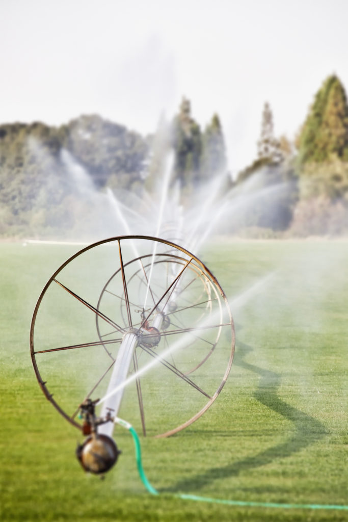 water-management