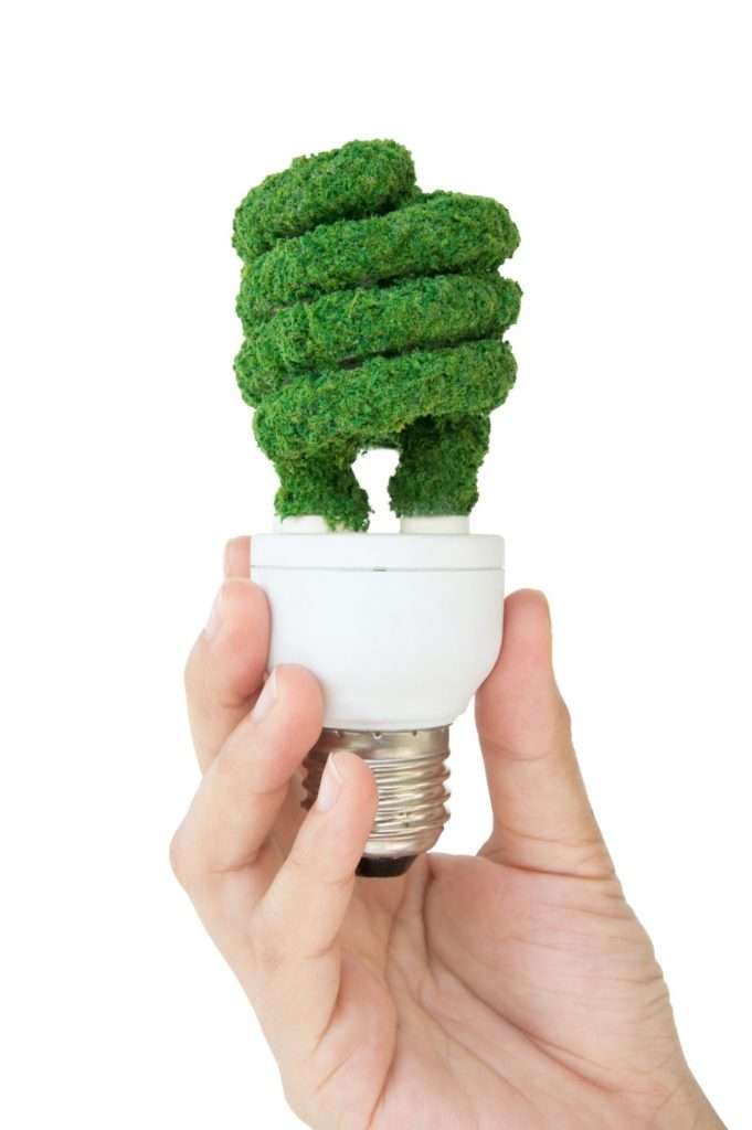 eco-light-bulb