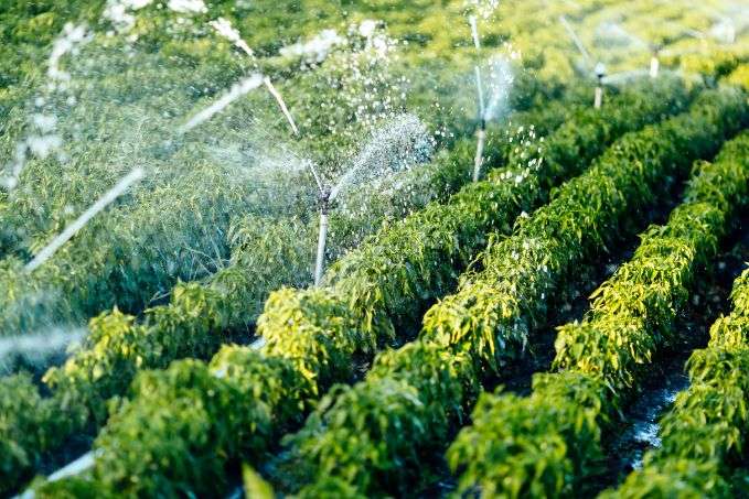 irrigation-system-support