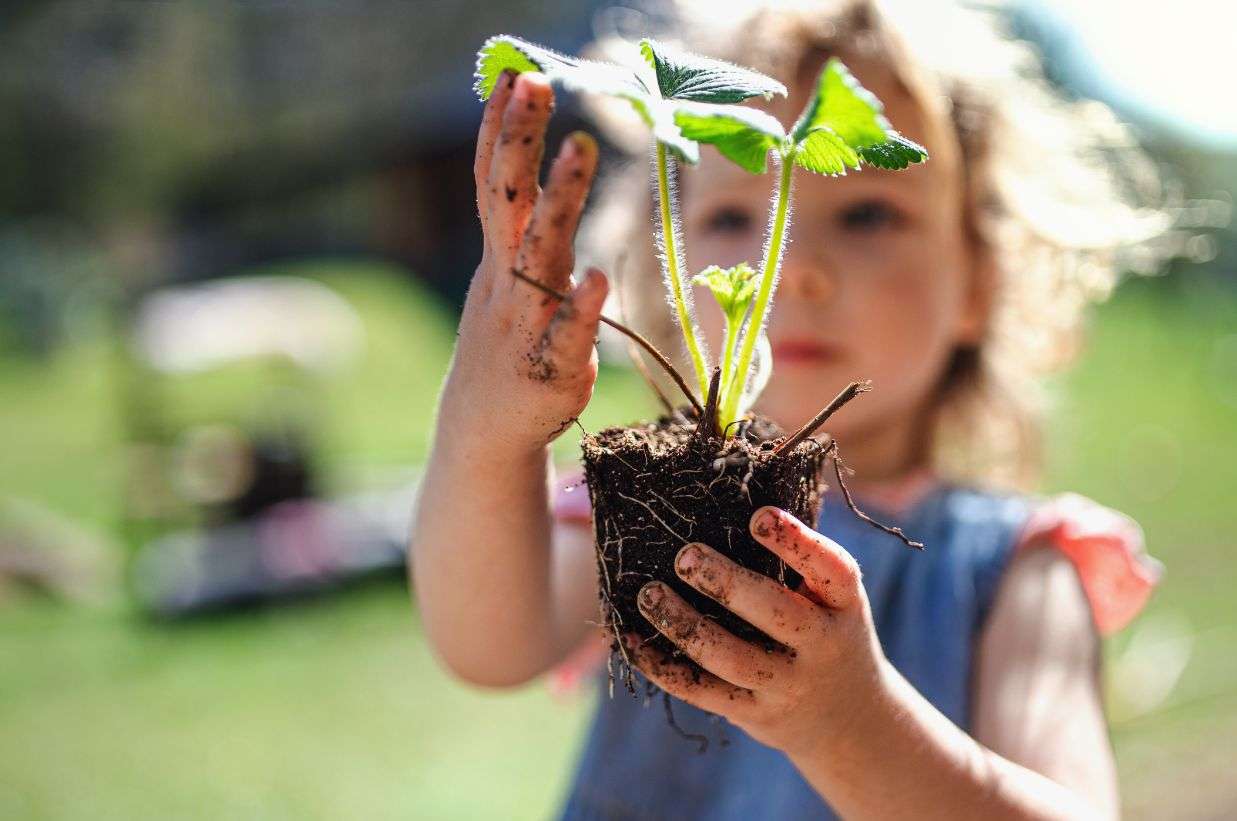 Sustainability-Unveiled