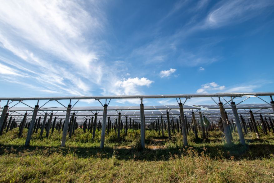 Gogreensolar-panel