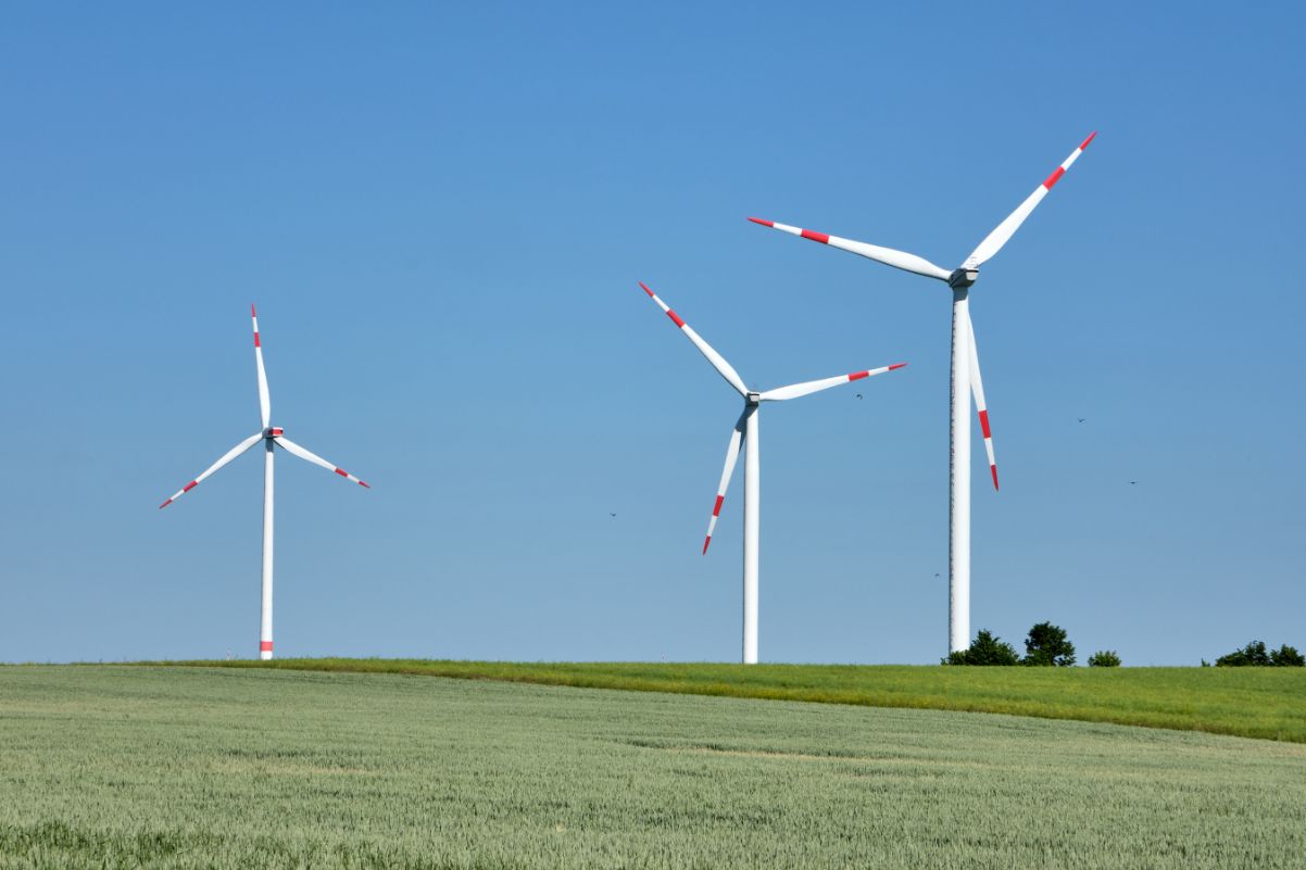 wind-energy-birds